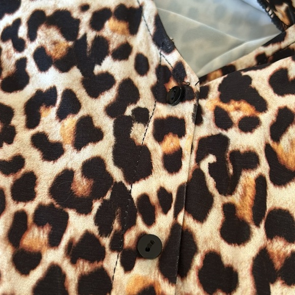 Zara Leopard Print  Long Sleeve V Neck  Dress Animal Print - Picture 6 of 6